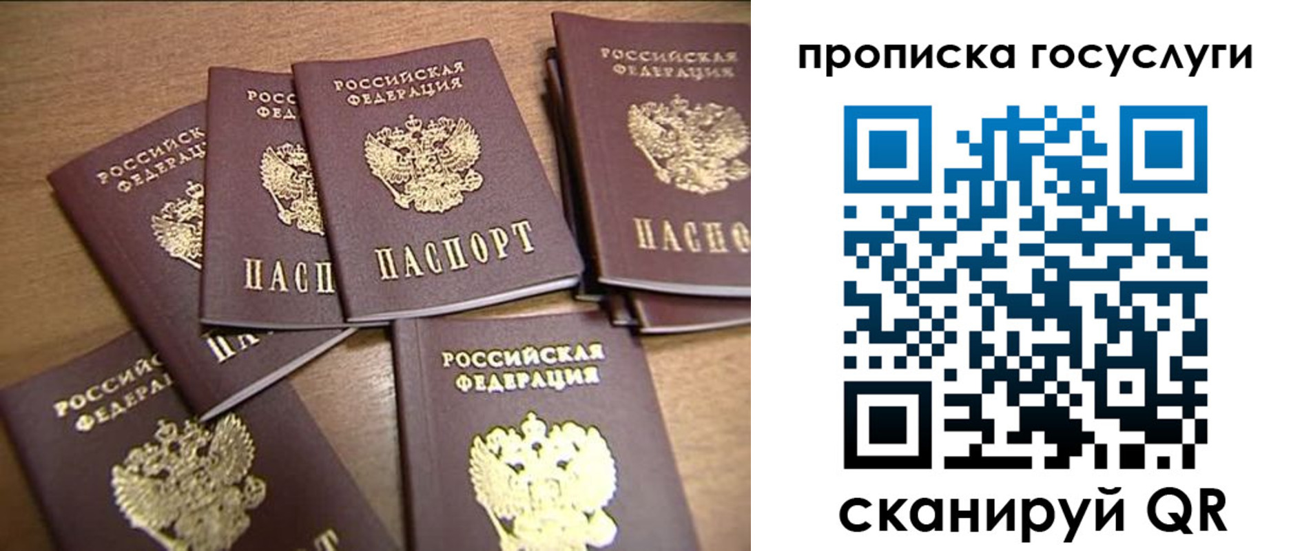 прописка ребенка в Новом Осколе